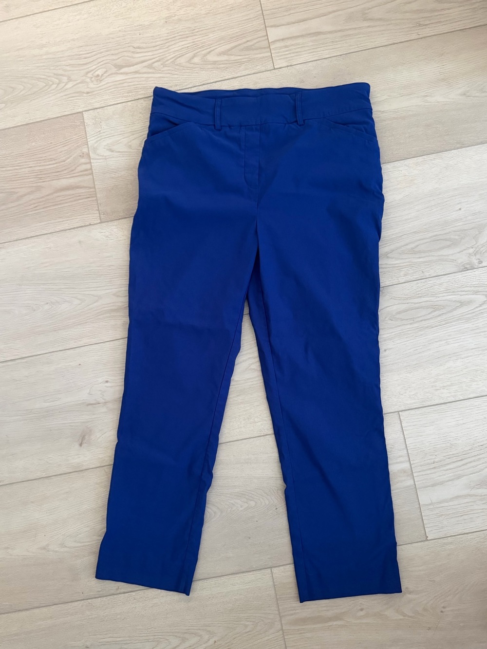 Hilary Radley Blue pull on Pants. Women’s large. High Waisted.
